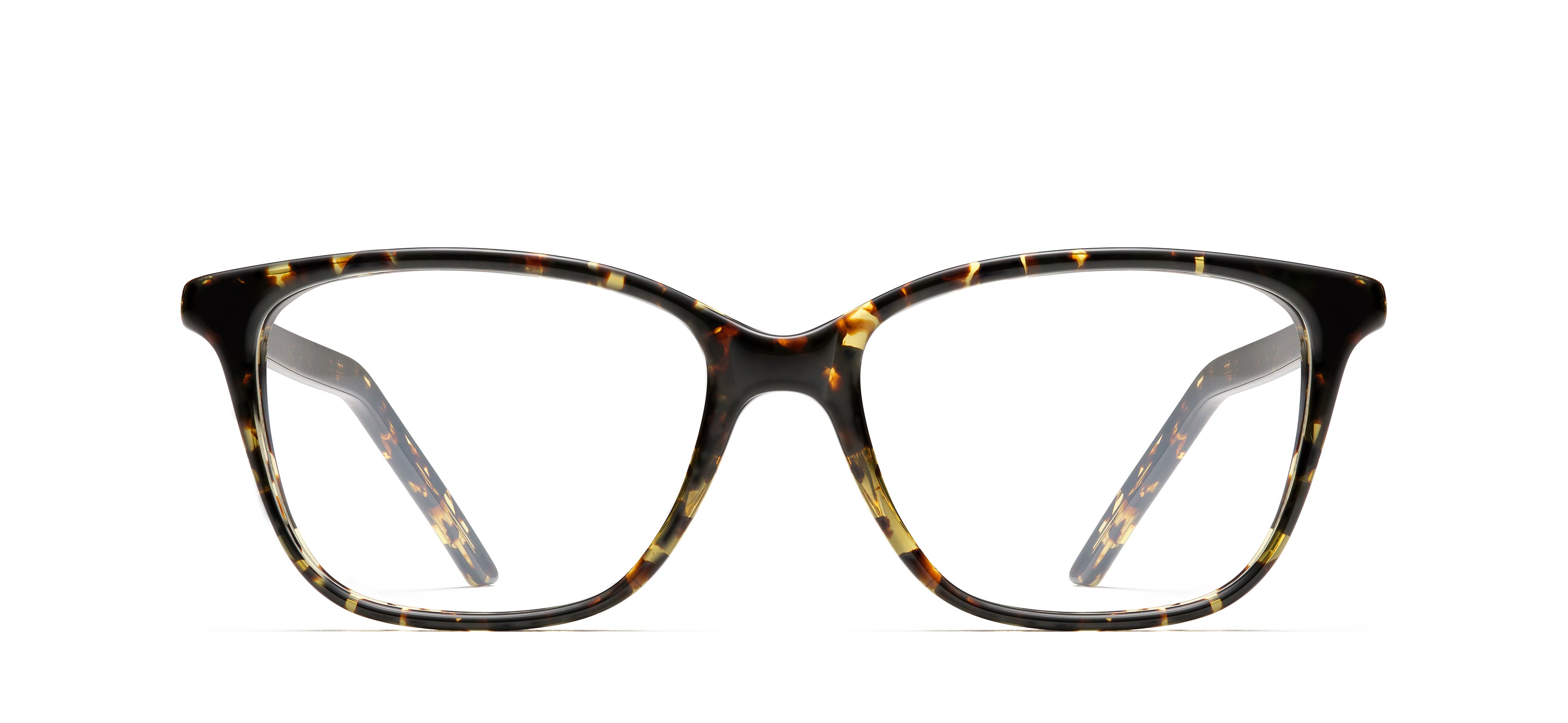 Tokyo Tortoise 243