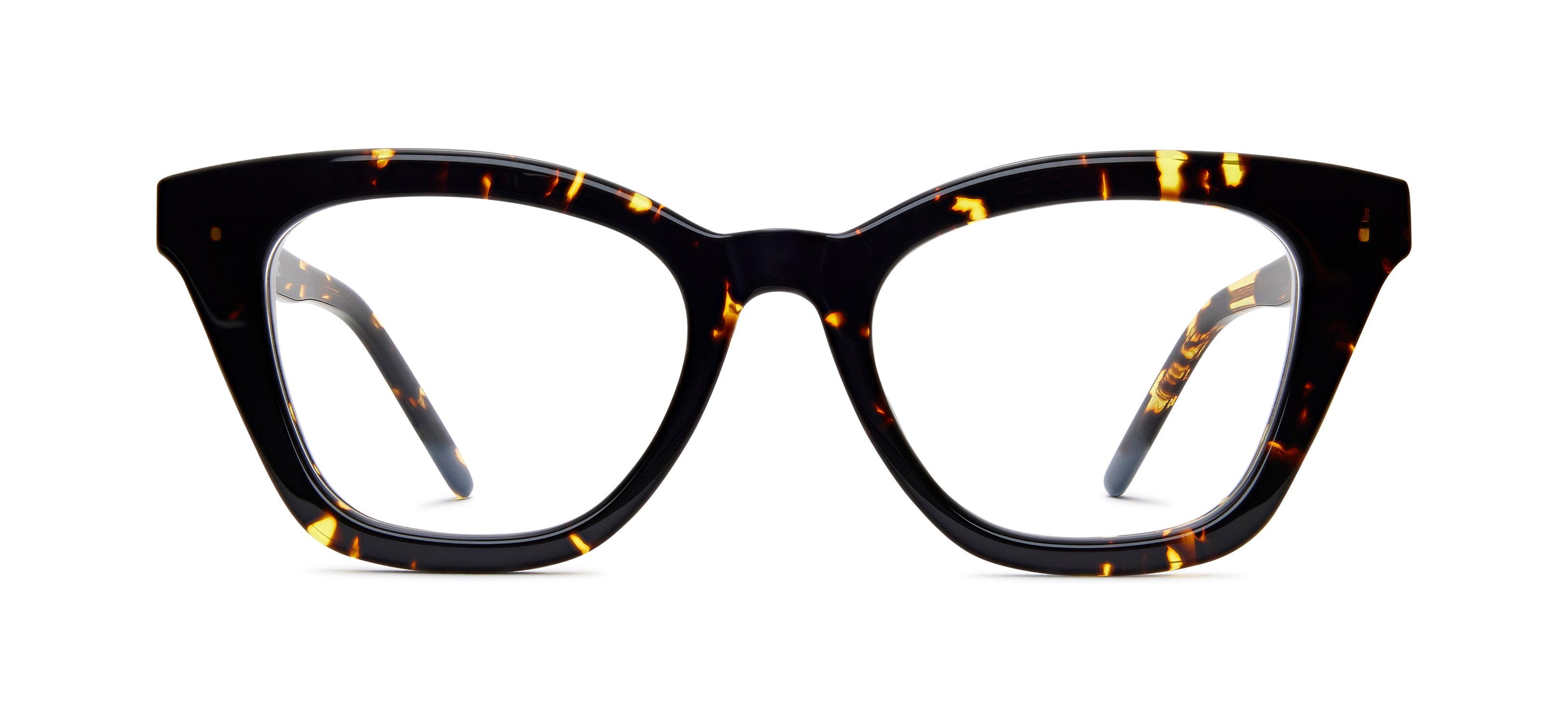 Tokyo Tortoise 510