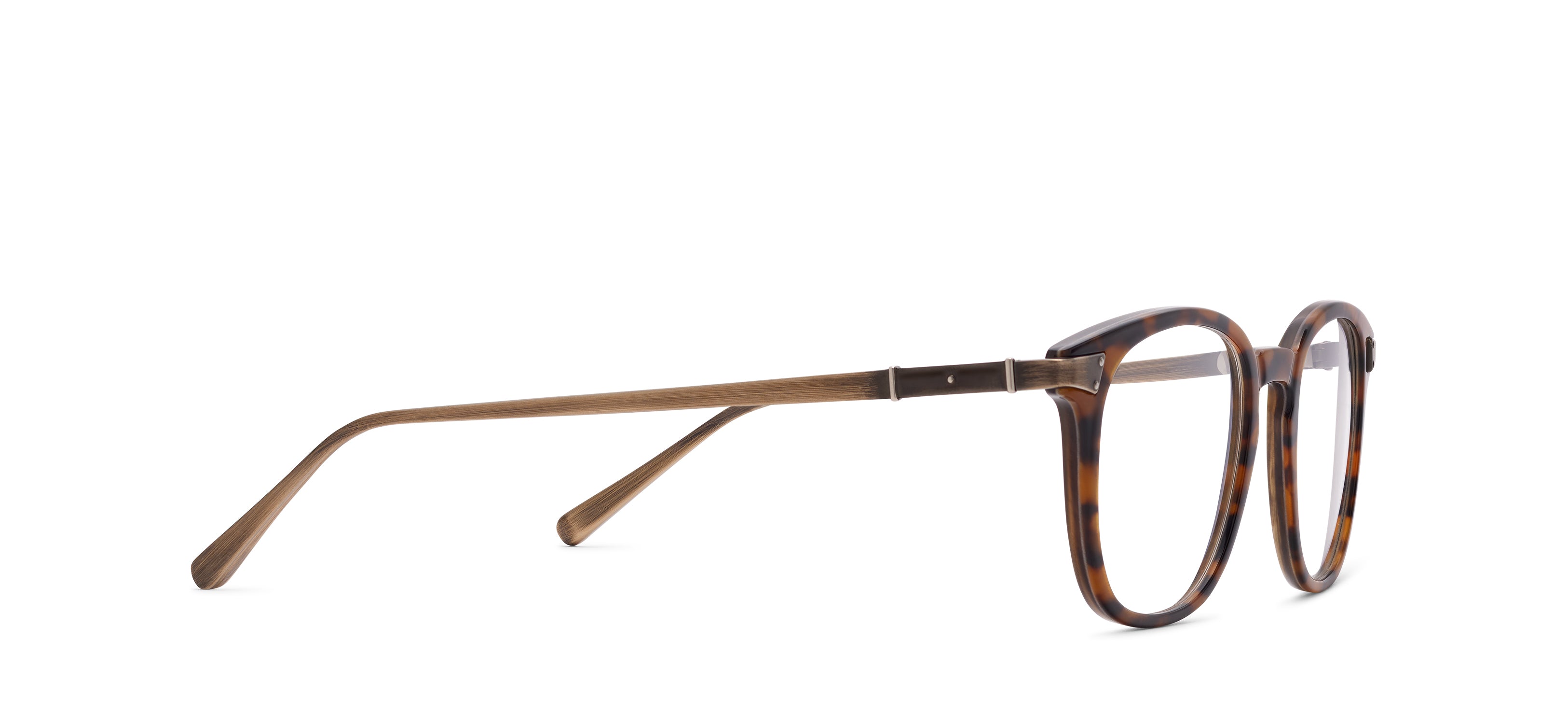 RMNYC 885 HORN - Tortoise / Antique Gold 928 alternate angle