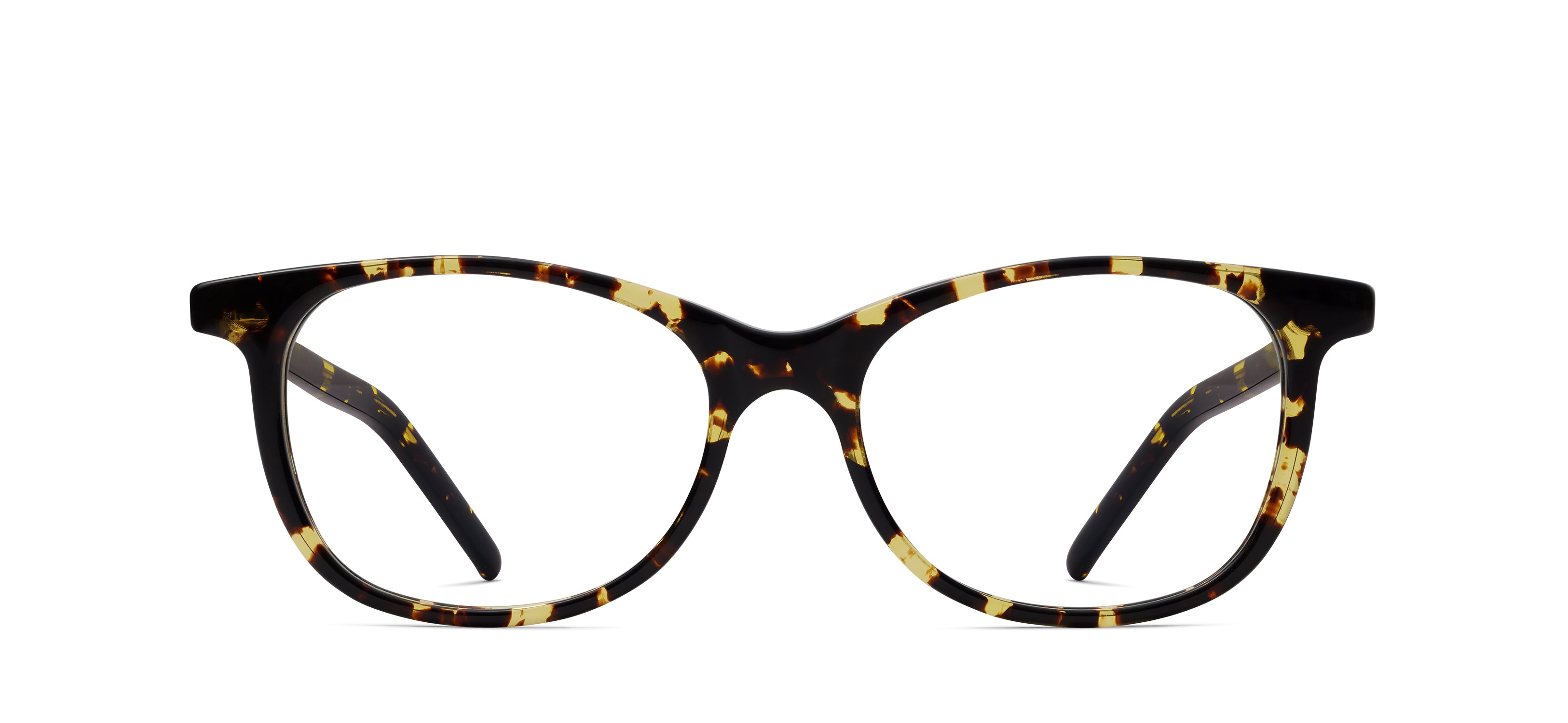 Tokyo Tortoise 243