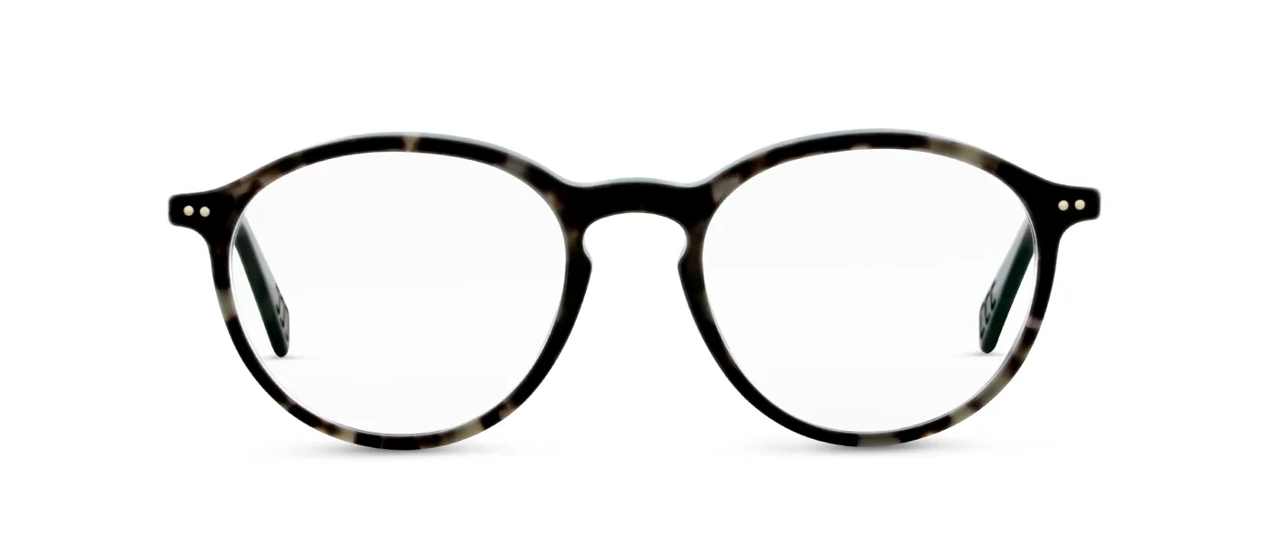 18 black havana