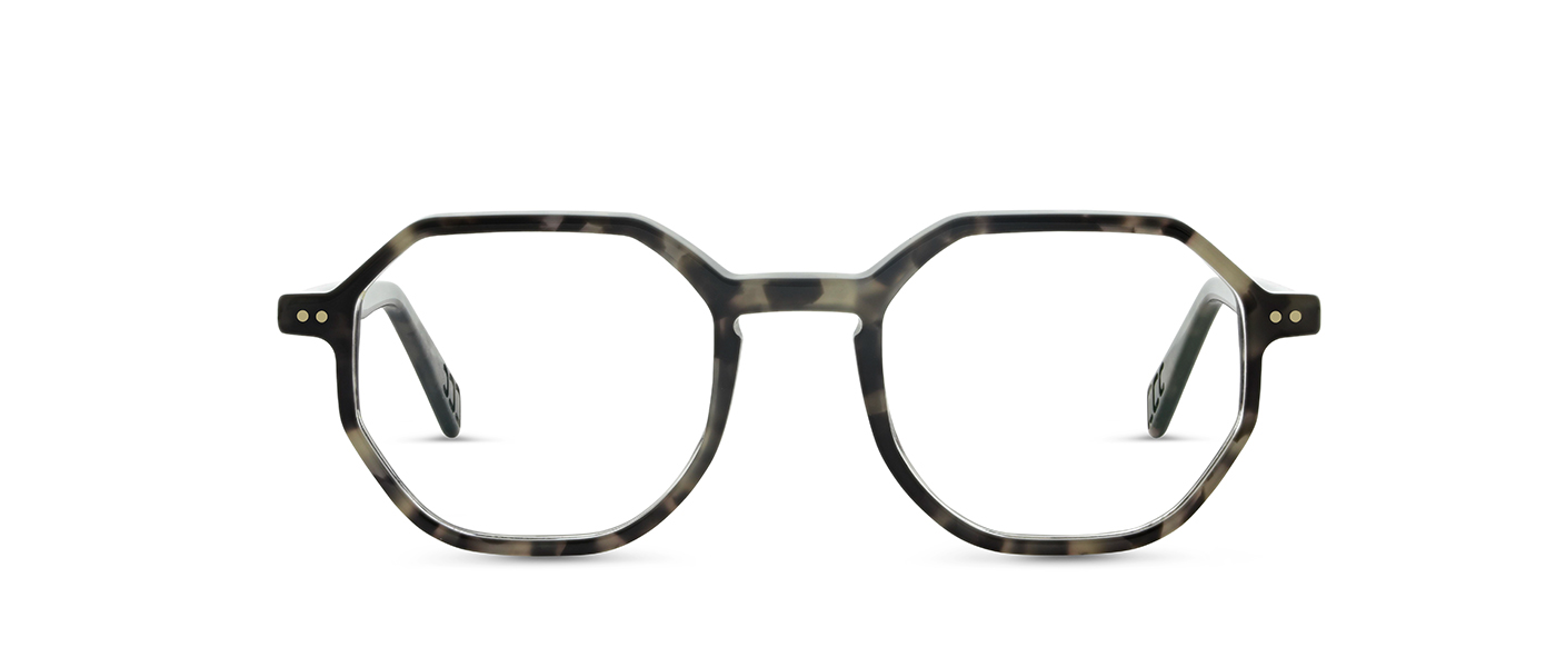 A11 455 - 02 dark havana alternate angle