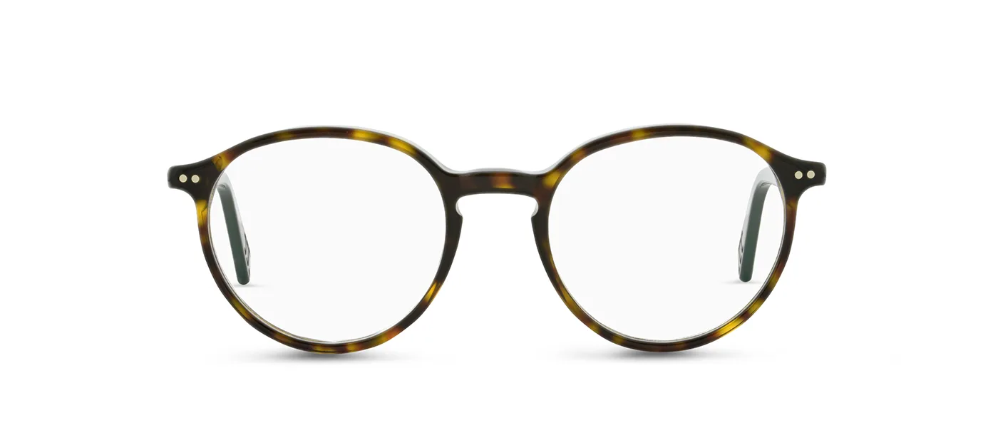 02 dark havana
