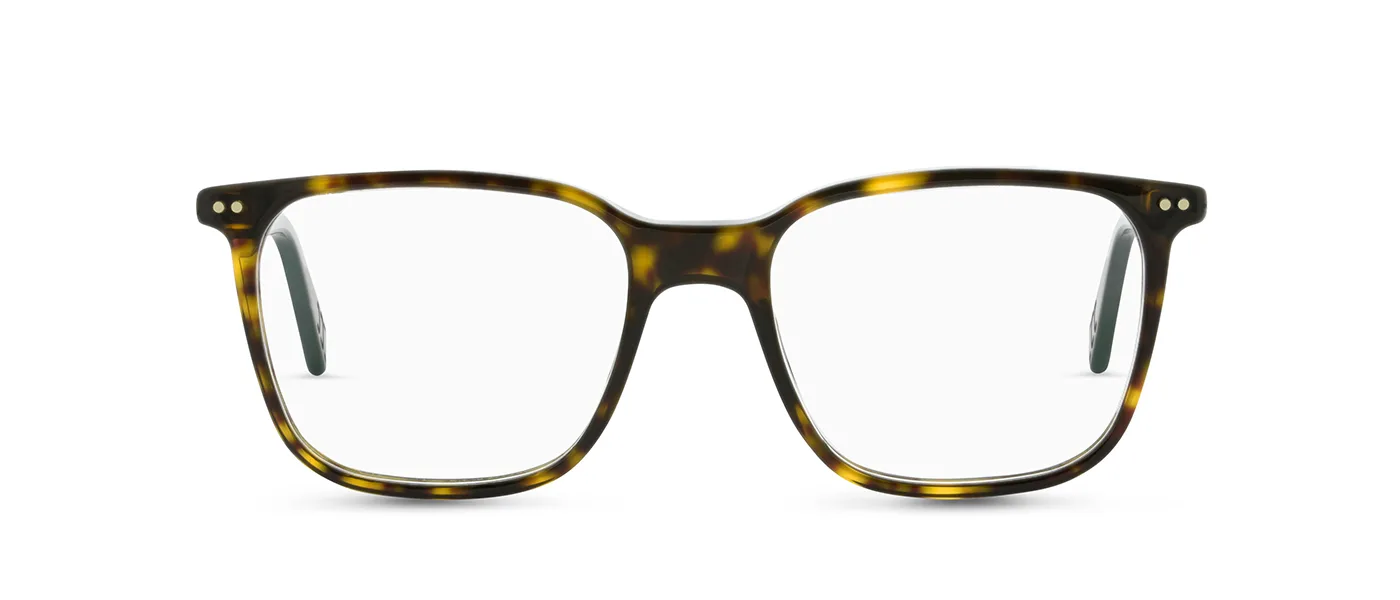 02 dark havana