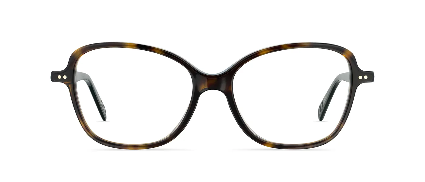 02 dark havana