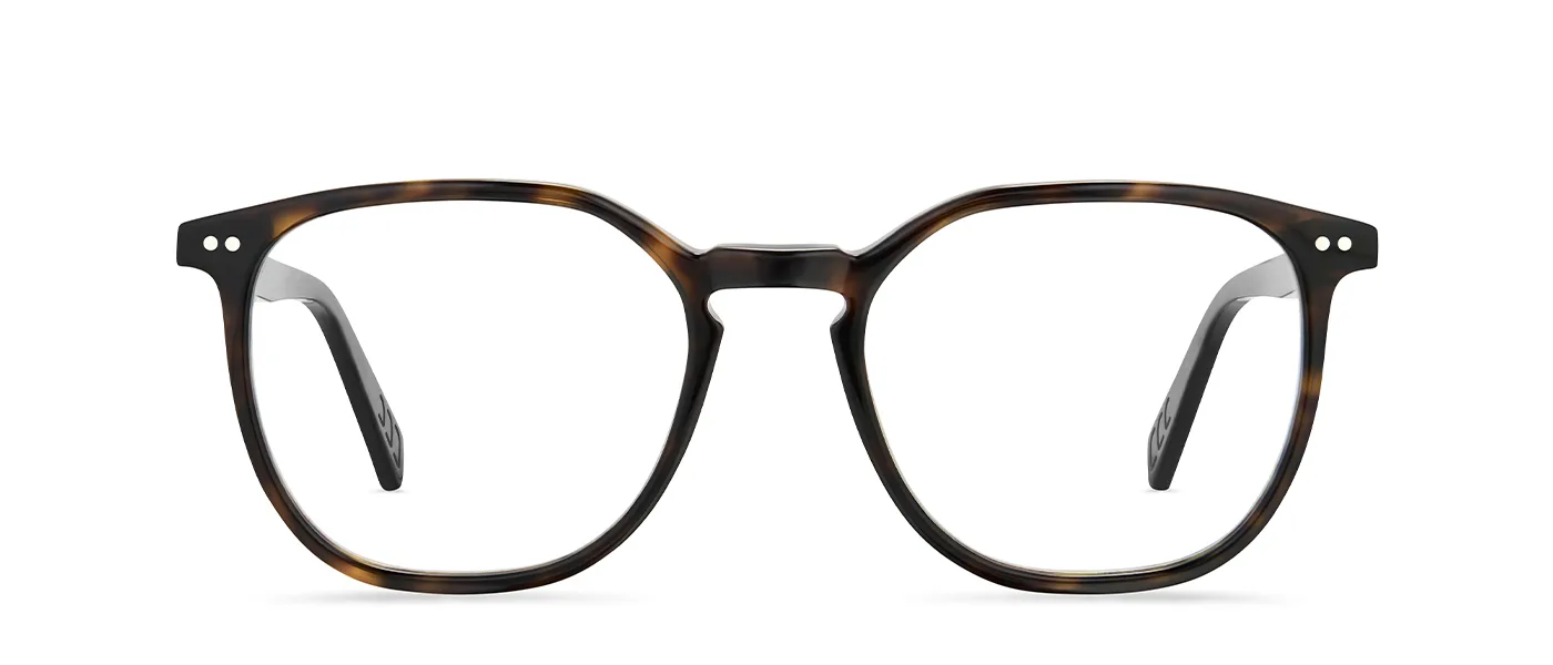 02 dark havana