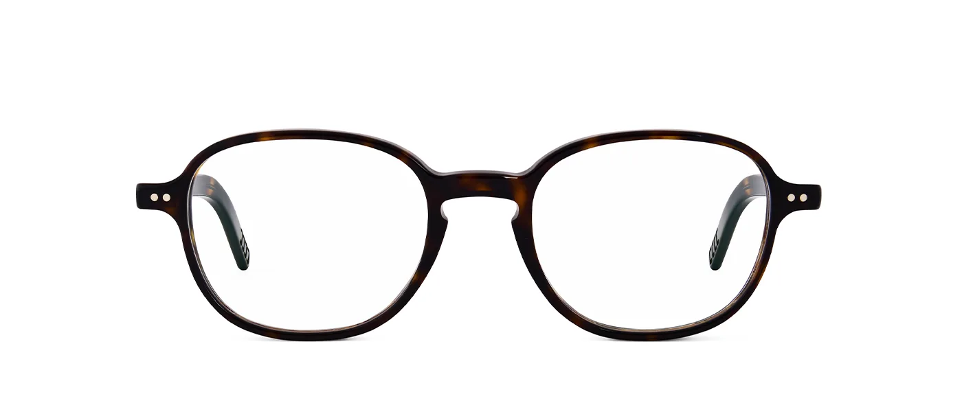 02 dark havana