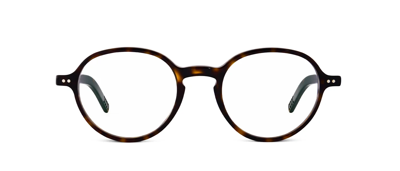02 dark havana