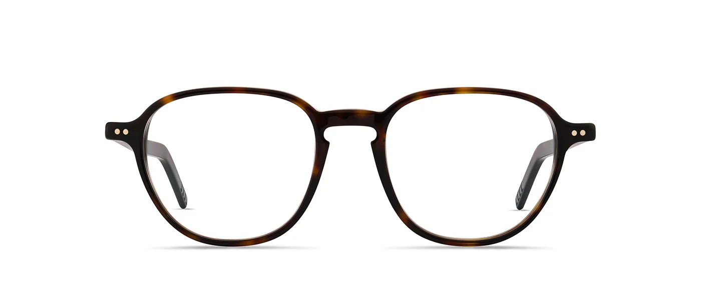 02 dark havana
