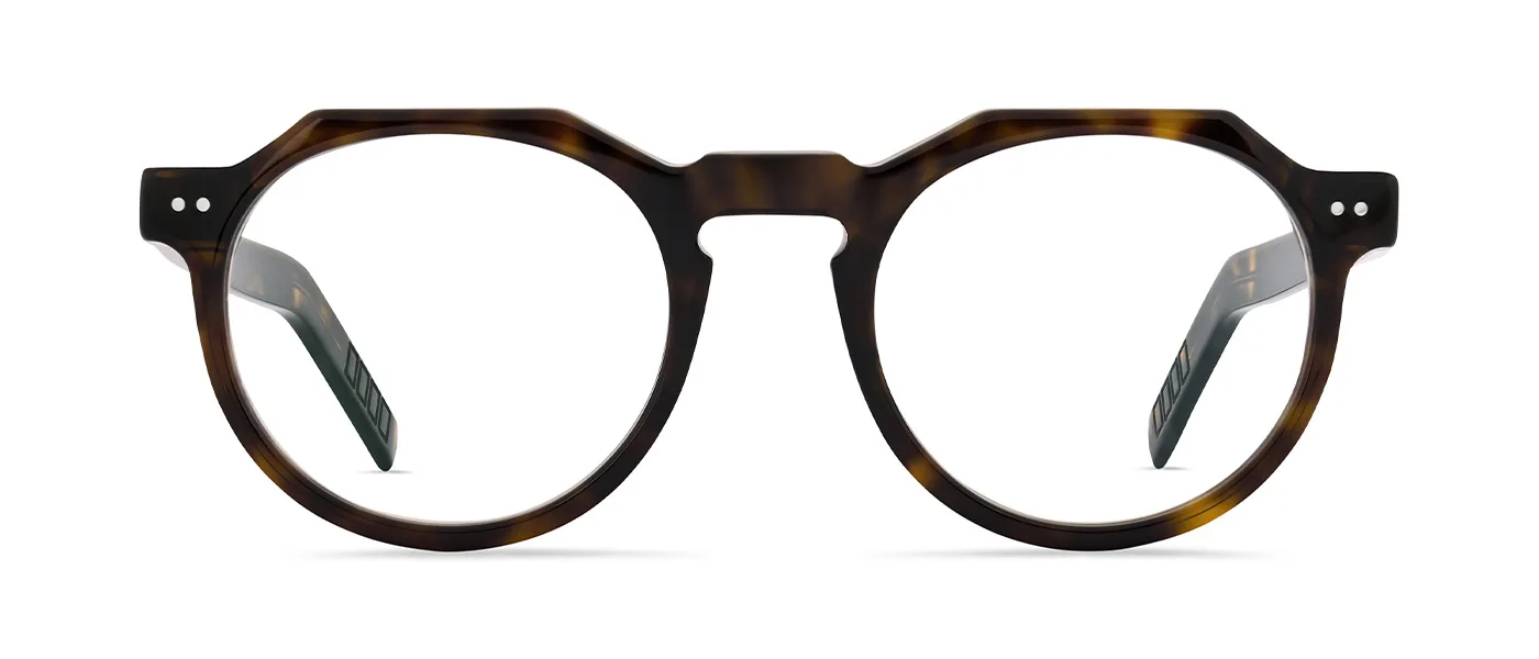 02 Col. 02 – dark havana