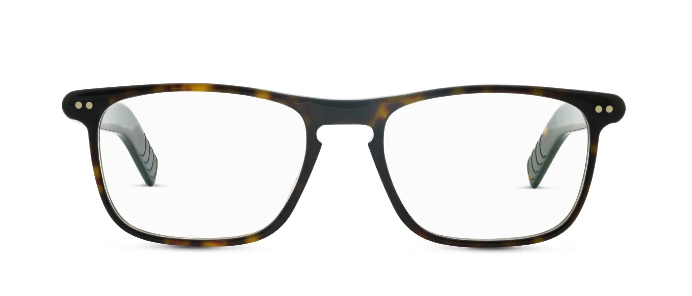 02 dark havana