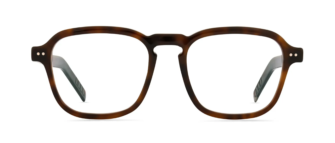 73 Dark Brown Spotted