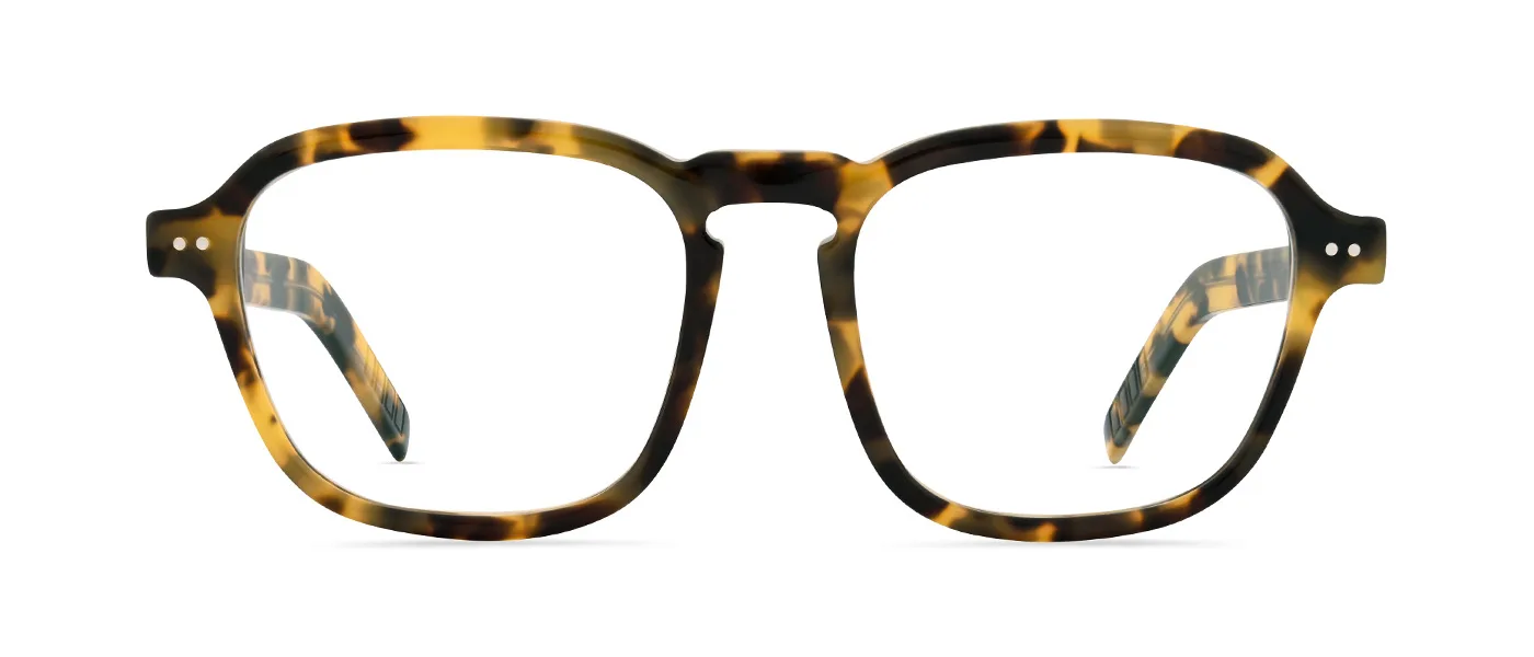 75 Tokyo Tortoise Opaque